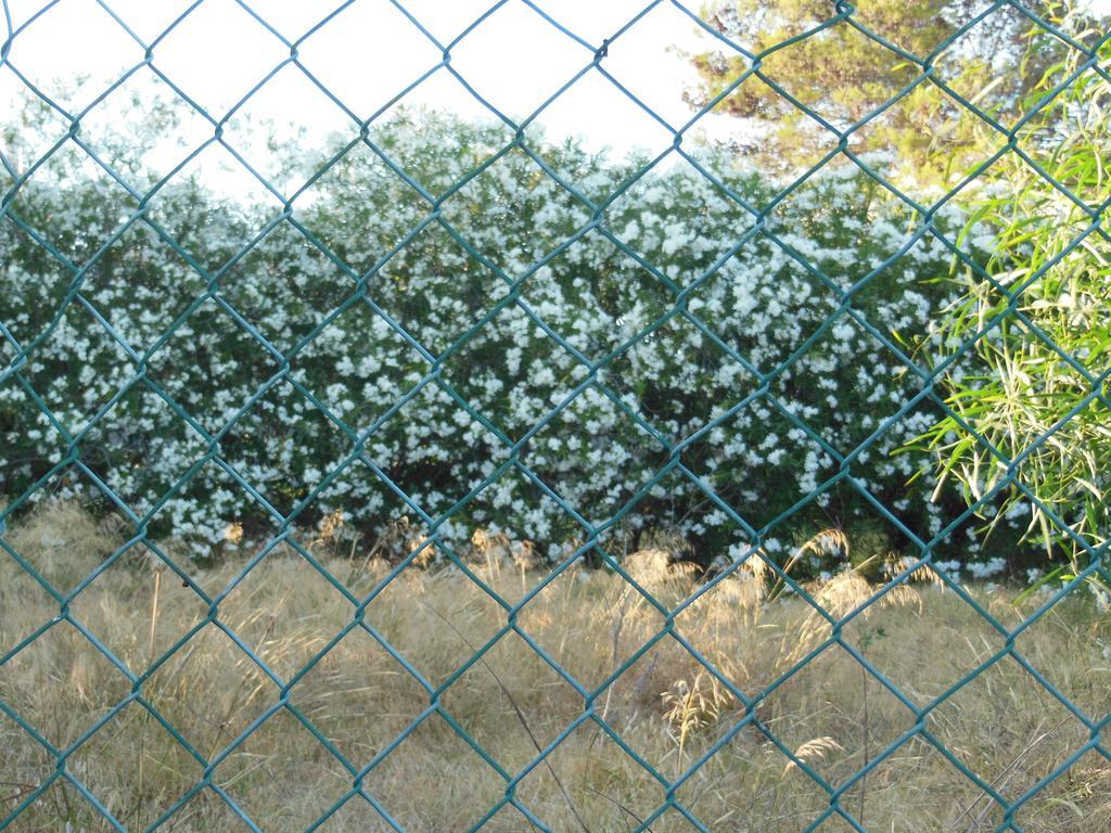 מלון אלבופיירה Jardins Da Balaia מראה חיצוני תמונה